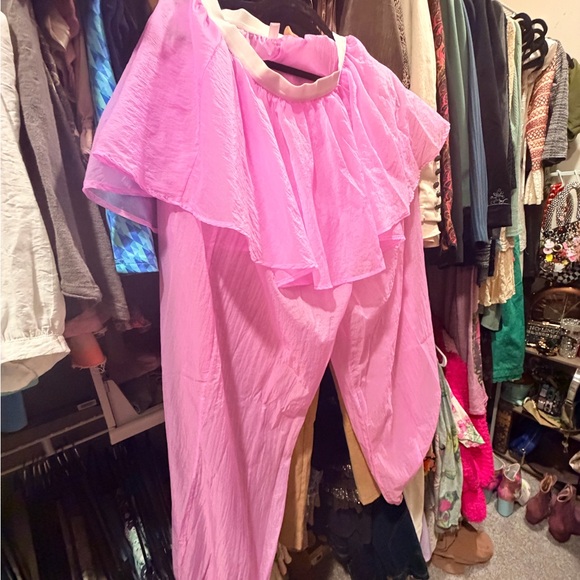 Free People Sheer Pink pants - Picture 2 of 2